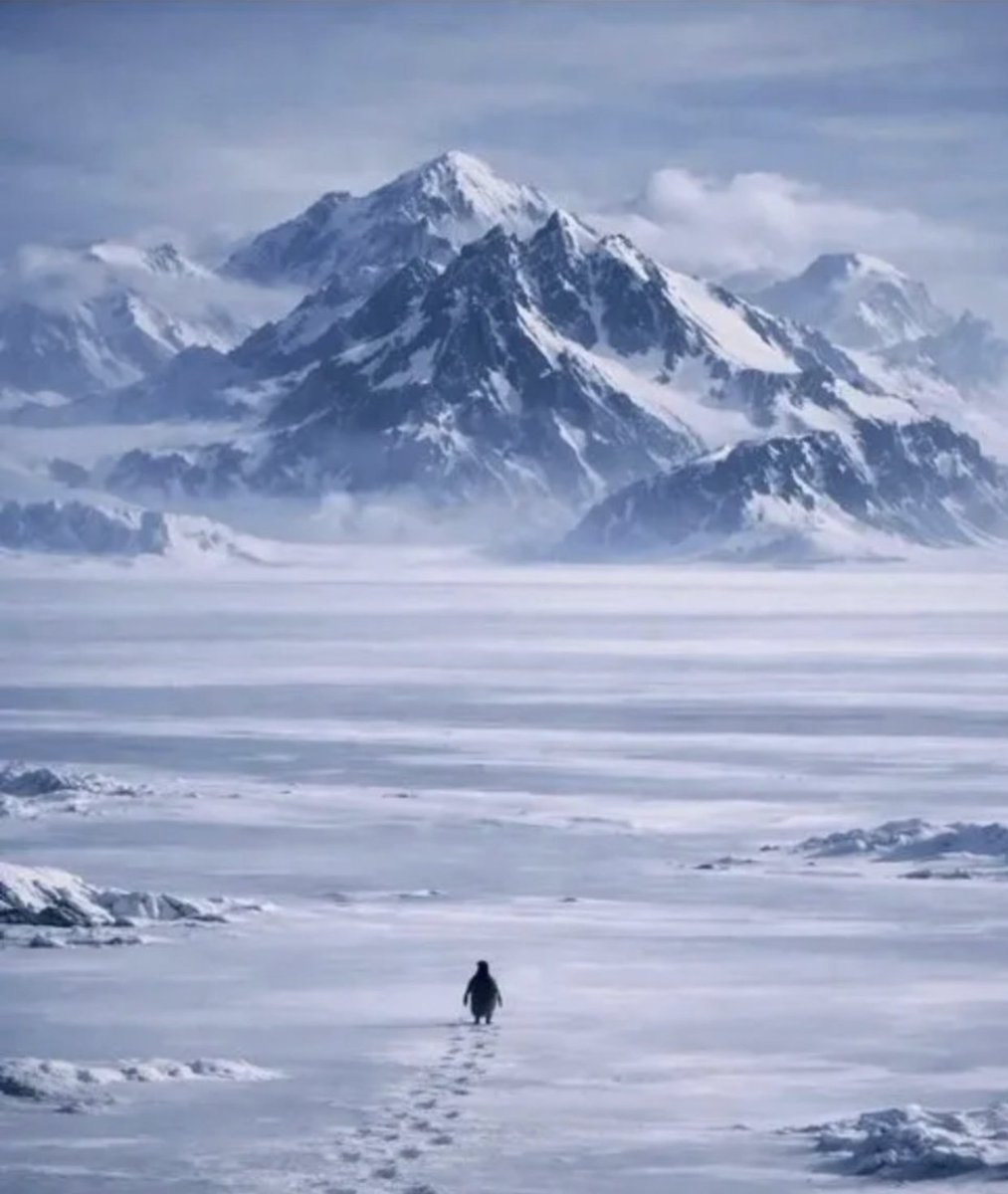 The Penguin believed in something, why won't you?