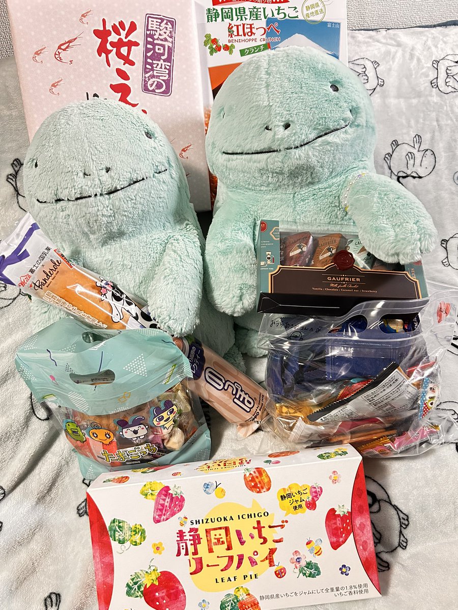 おはようございます☁️
昨日は静岡ぬオフ会に参加してきました☺️
多くのふわぬおちゃんやちゃんぴぃさんにお会いできて本当に楽しかったです🩵
たくさんのお菓子もありがとうございました😊