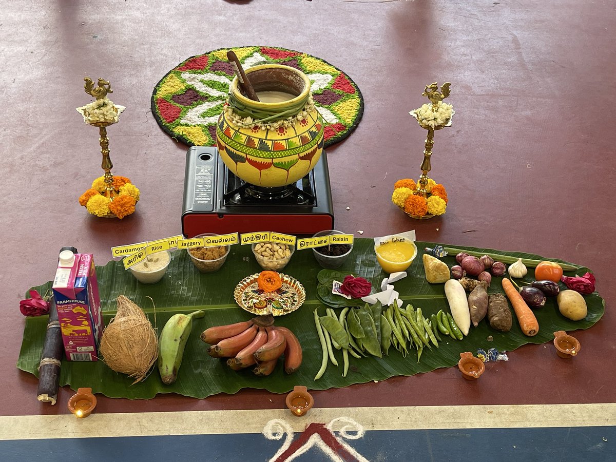 SriManSG's tweet photo. #JanDump
New camera
Parasakthi
Pongal days
Family walk for MediaCorp
Busy weeks for a proposal job
Overall, January went ok & looking forward for February. Having a plan, hopefully it will go smoothly. https://t.co/3YJMS6lRBM