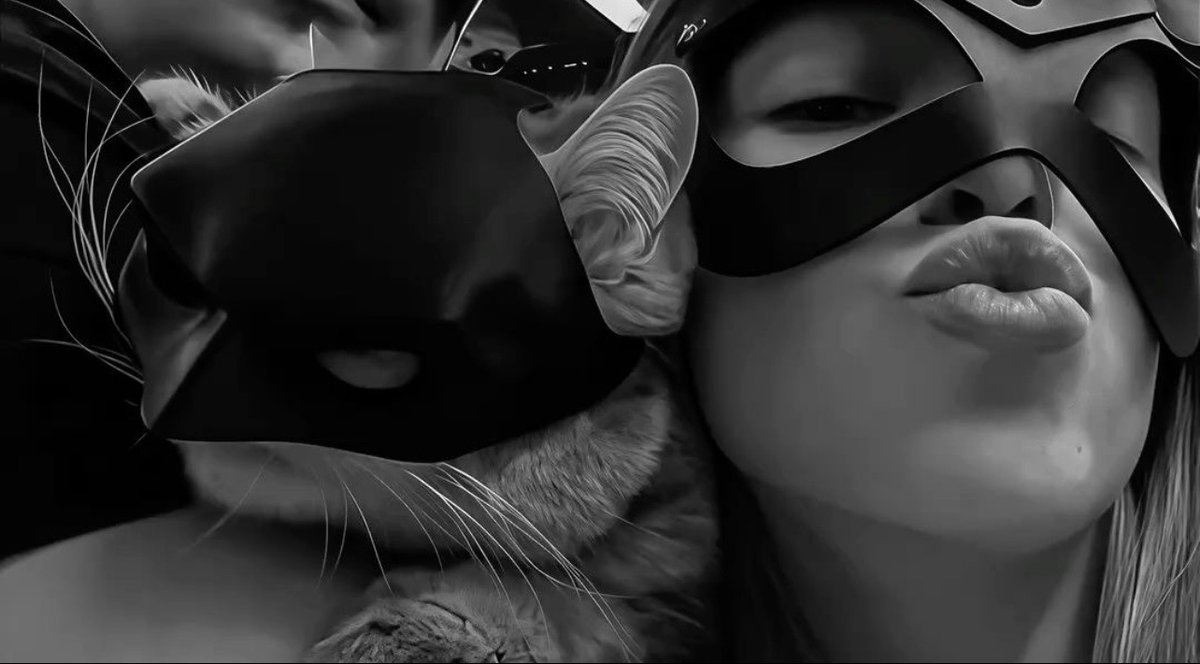 َََََ tweet media