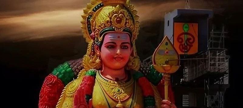 TheKurup_'s tweet photo. Tap the post!  murugan's grace always  happy thaipusam