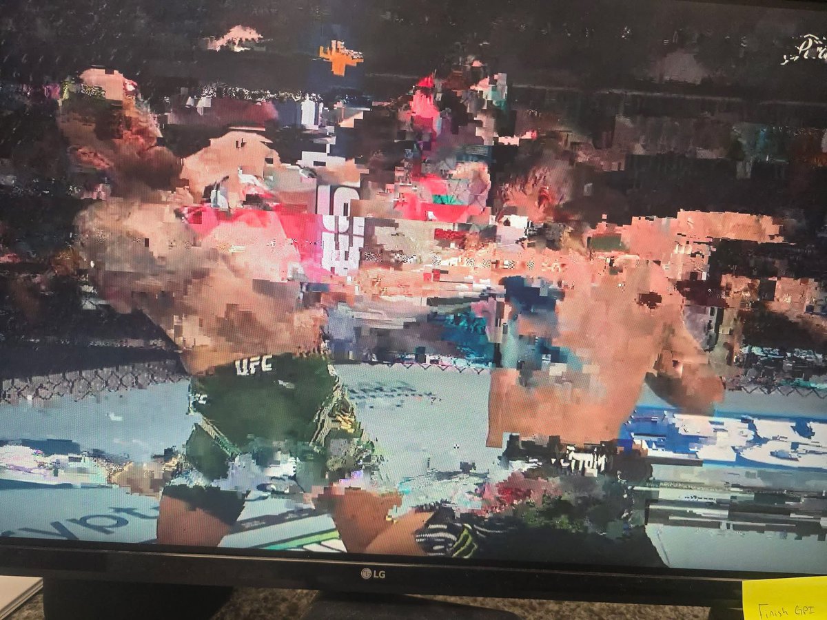 dame margera tweet media