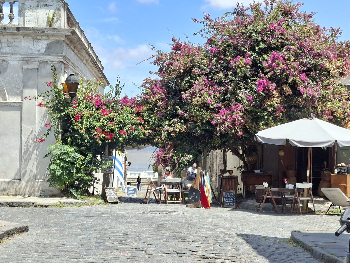 La calle más linda del Barrio Sur de Colonia. Se lo discuto a todos.