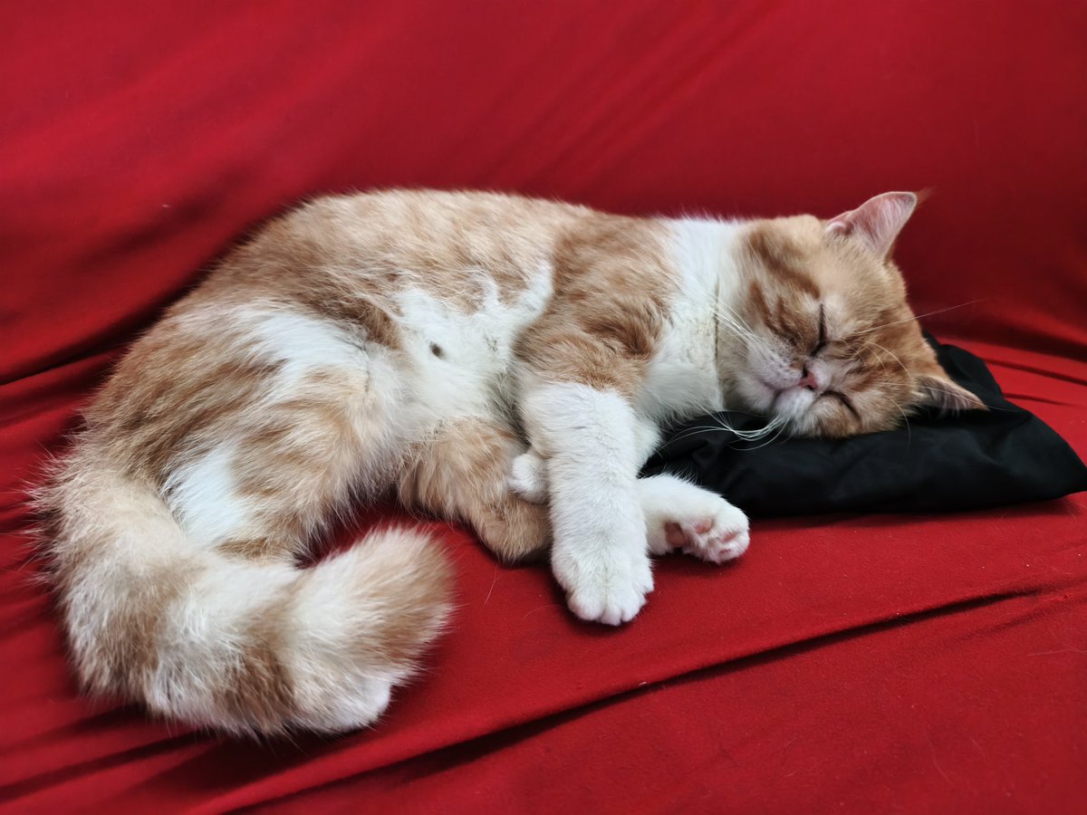 Kegiatan orang dewasa pas libur