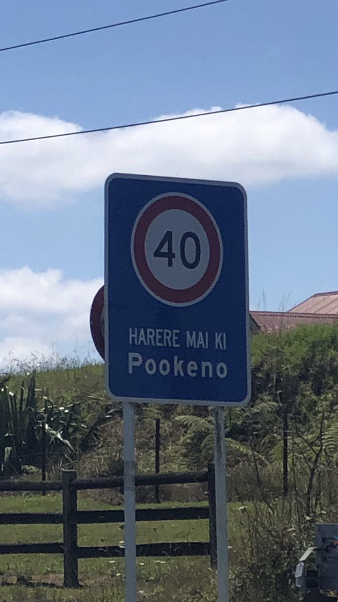 Kat McCarthy tweet media