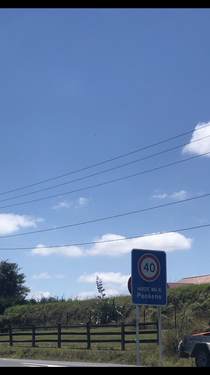 Kat McCarthy tweet media