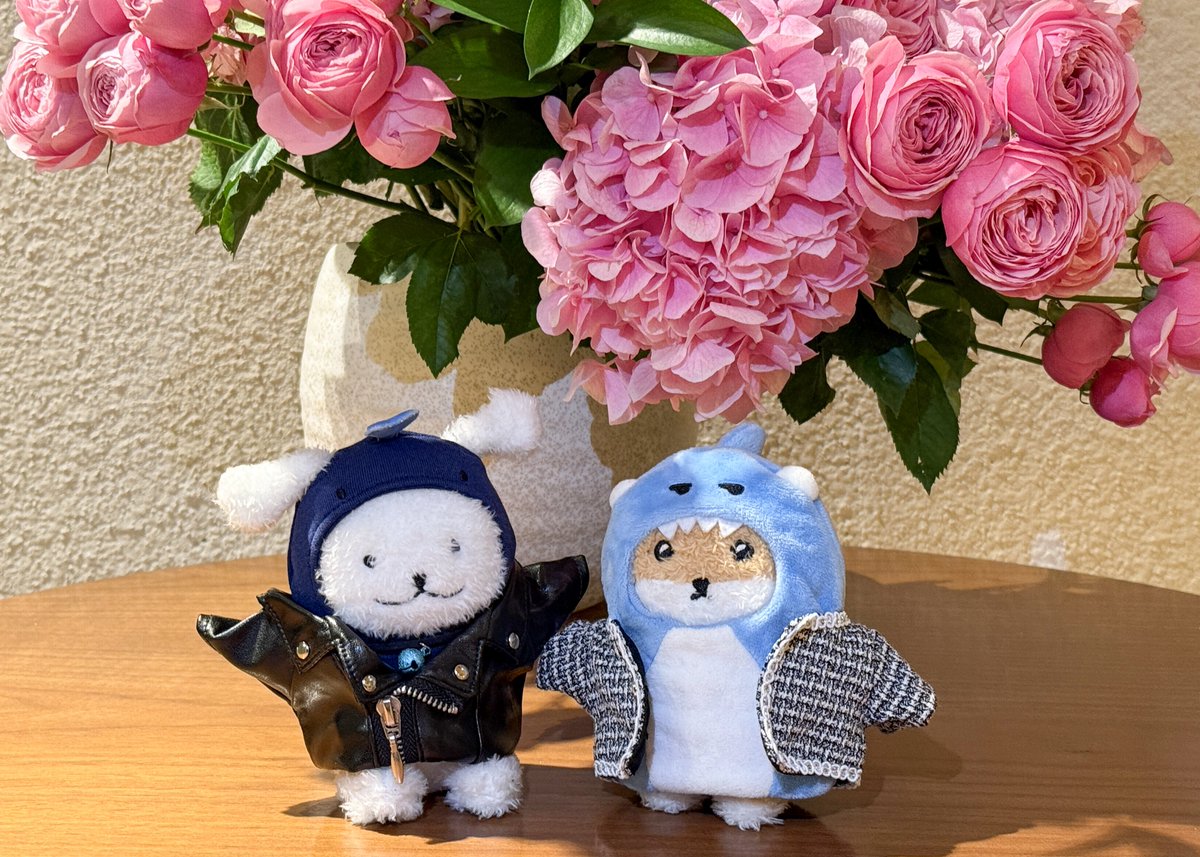 📢
2026 MONSTA X WORLD TOUR
[THE X : NEXUS]
드레스 코드 안내

🩵 DAY 3 | 온·오프라인
😎 꾸꾸꾸
🗓 260201 (일) 11AM - 11:59PM (KST)

드레스 코드 이벤트가 시작되었습니다
몬베베분들의 많은 참여 바랍니다 🩵

#몬스타엑스 #MONSTAX
#MONSTAX_THEX_NEXUS
#THEX_NEXUS0201 #더엑스넥서스0201