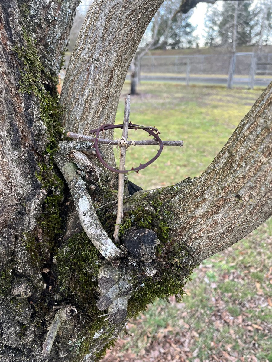 hemflocker's tweet image. 