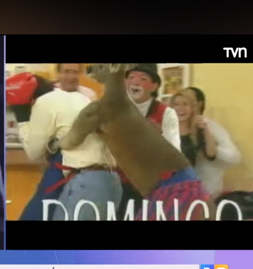 x_topithoxx's tweet photo. Aquí viendo el video de Rafa Araneda con el Canguro #DonComedia #FestivalLasCondesCHV https://t.co/pXDjBa1FH2