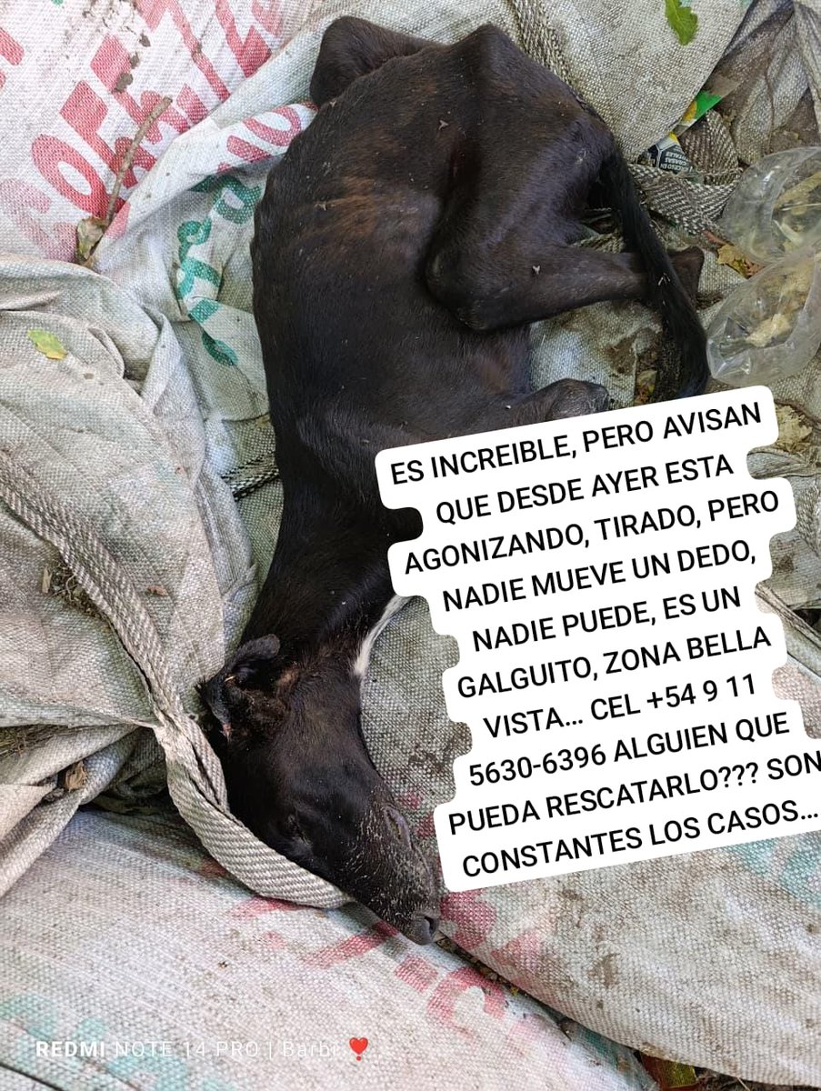 Rt
Ayuda urgente