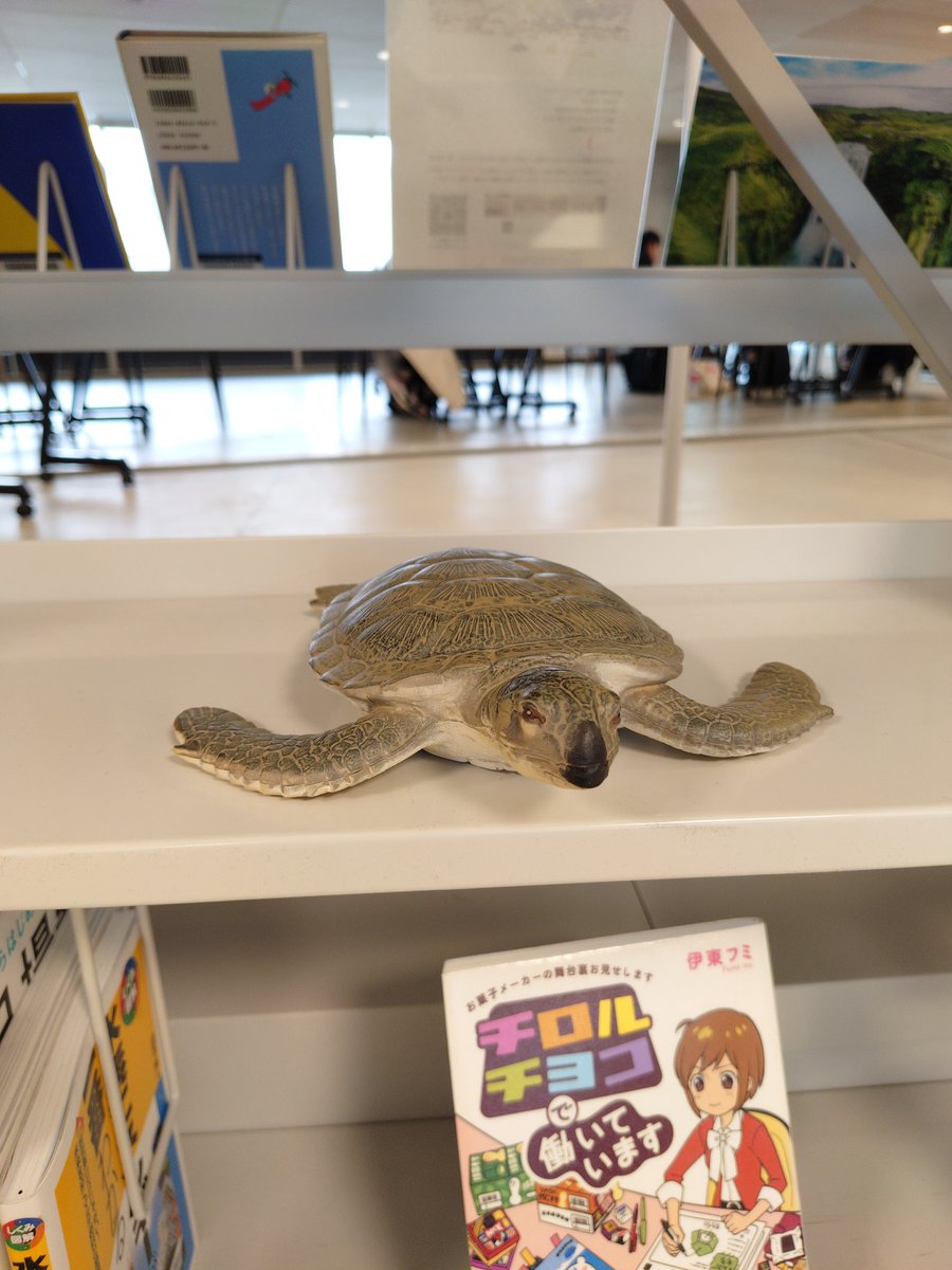 KaniccoCeramics's tweet photo. ホ市始まっております🛍
ホントカ。見れば見るほどとても良い施設です https://t.co/7JaRaJmgsV
