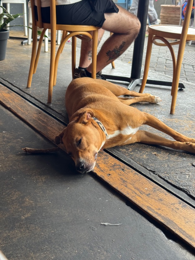 the life of nick mooney in flux tweet media