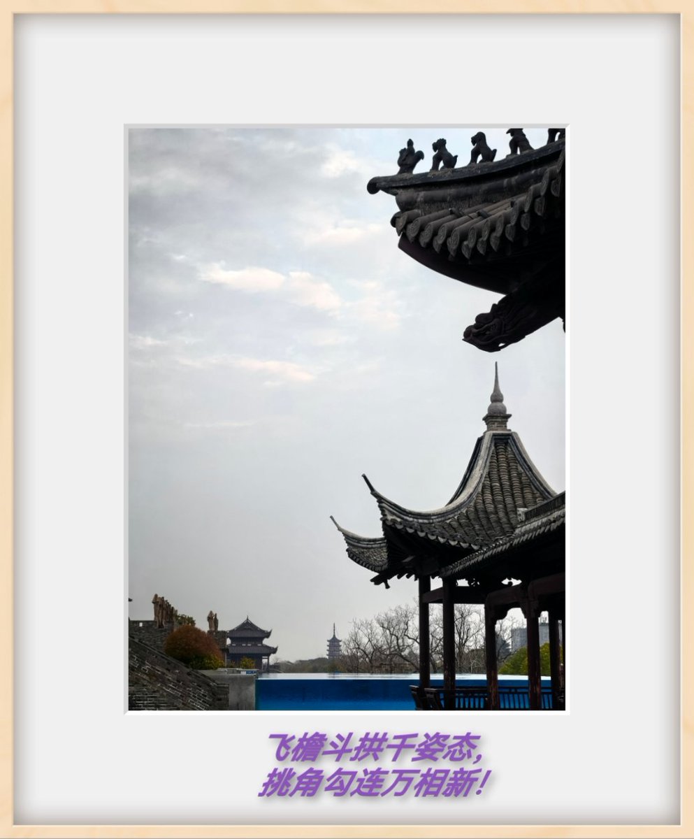 ordinaryChines's tweet photo. good morning https://t.co/NU9SSVBsUB