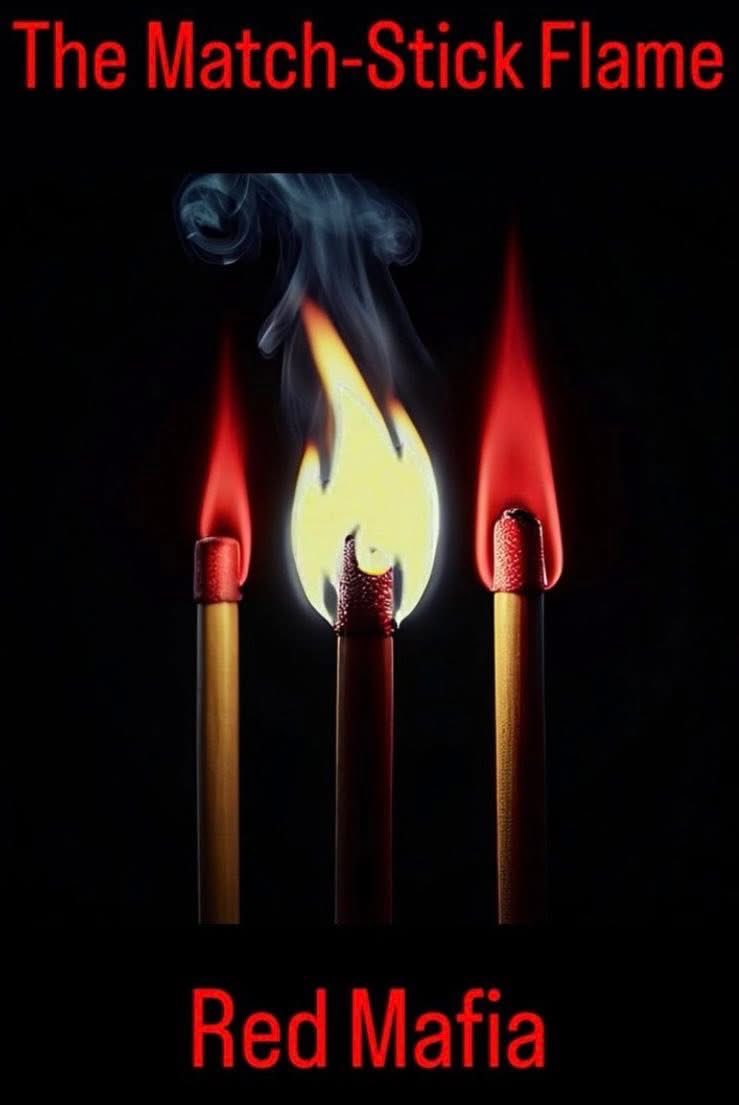 msflame22's tweet image. Our film distributor is very impressed with part 3 and already lined up meetings for multiple streaming services! Great work, team🔥 @VineetaPrasad1