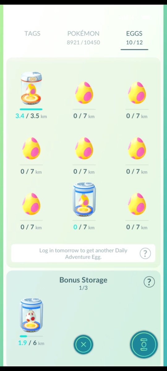 KiwiSteve007 tweet media