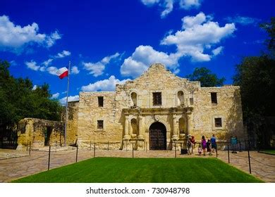 🐻 ☘️ PAWPAW RAY & BABIES ☘️ 🐻 tweet media