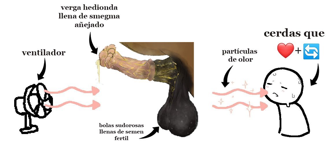 𝕊𝕙𝕪ℍ𝕠𝕣𝕤𝕖𝕄𝕖𝕒𝕥 tweet media