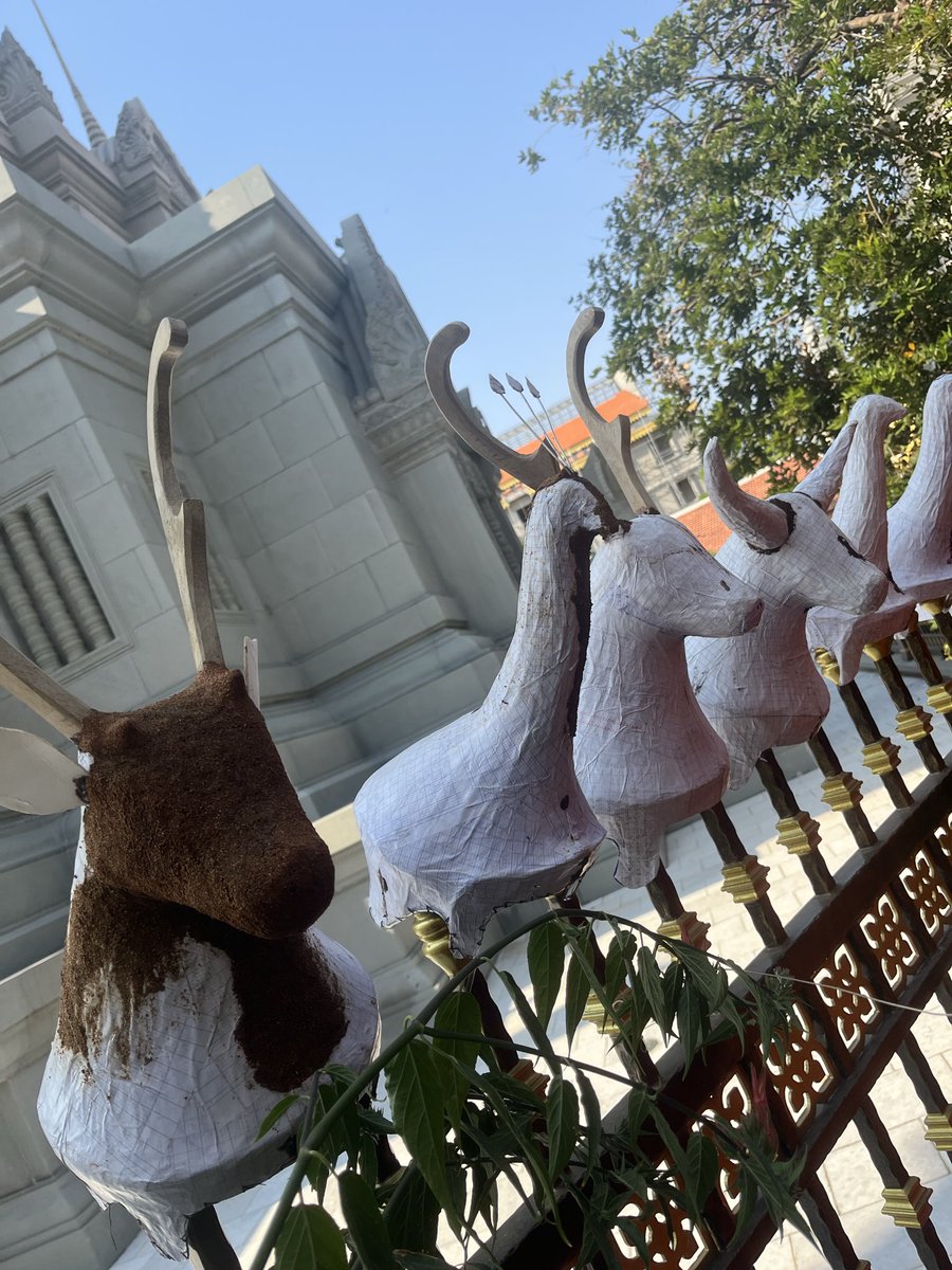 Savey Phin tweet media