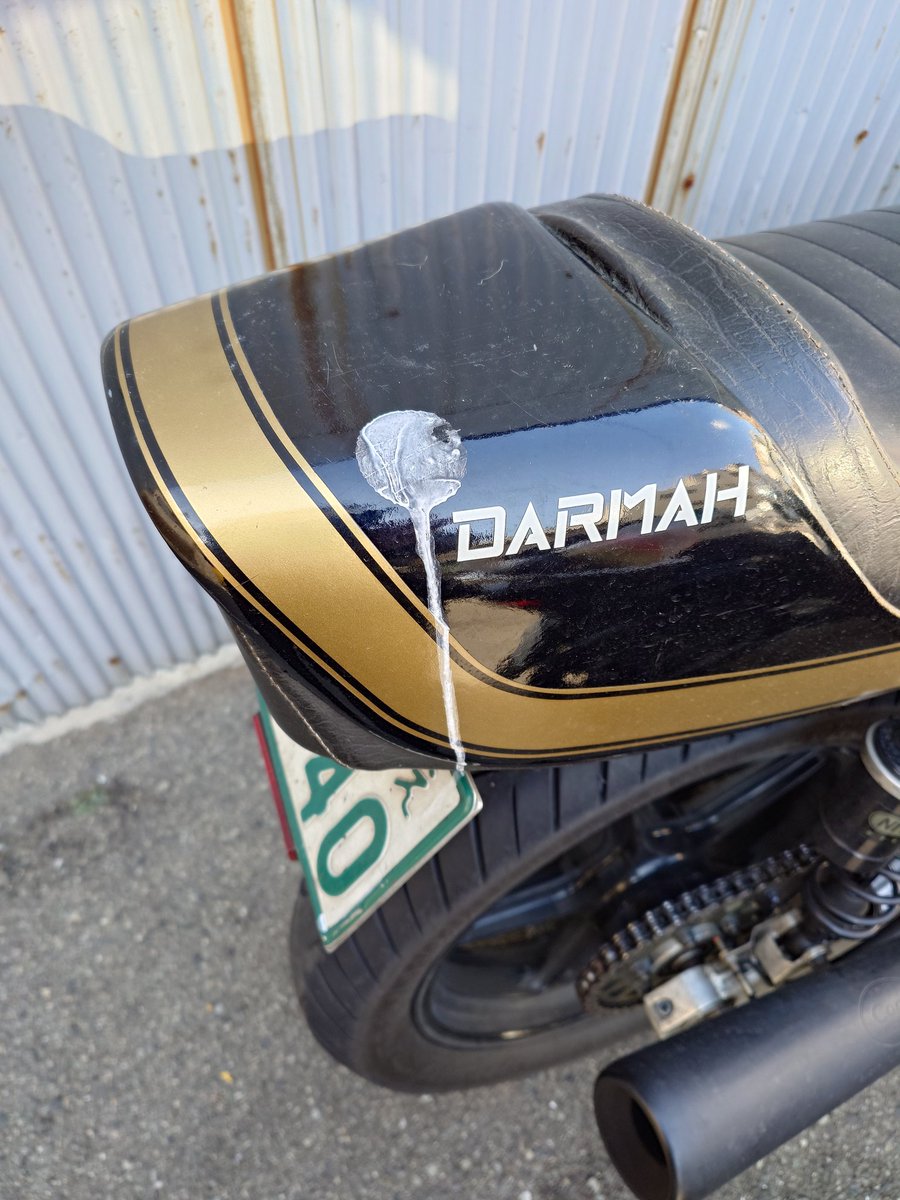 1979 (@Caferacer1979) / Posts / X