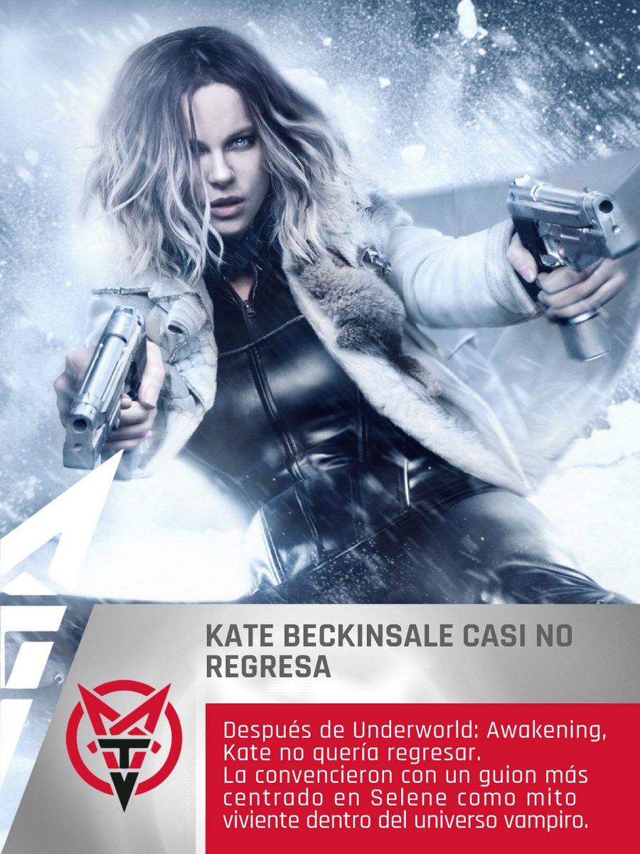 MORBIDO TV tweet media