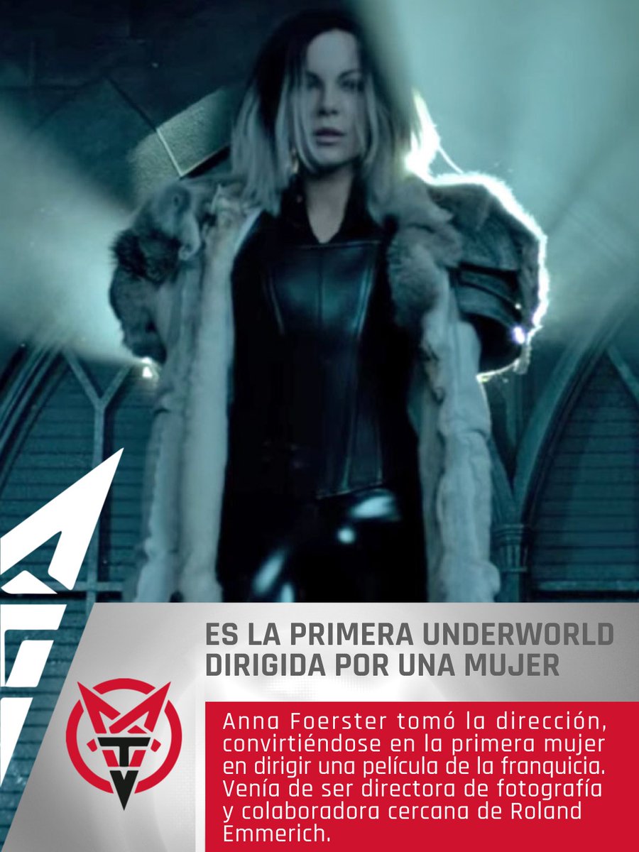 MORBIDO TV tweet media