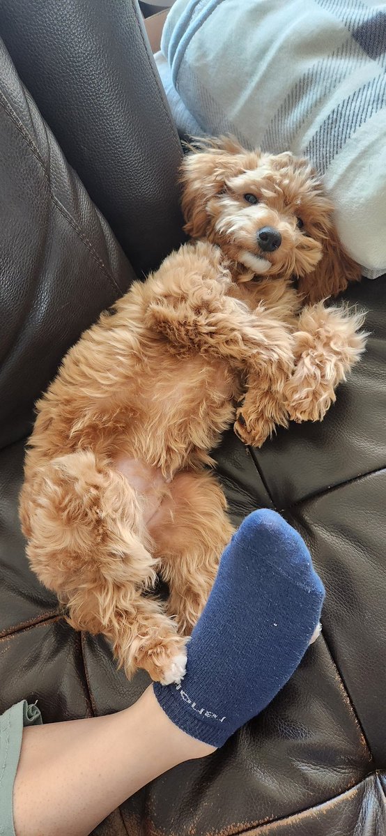 gampleyee's tweet image. #마음찍은트친과아무것도하지않지만그저서로를뮤트하지않았음을확인하며2월도행복하시길바라기