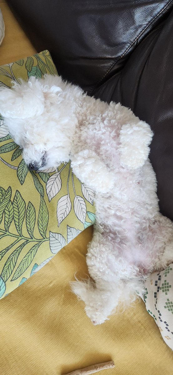 gampleyee's tweet image. #마음찍은트친과아무것도하지않지만그저서로를뮤트하지않았음을확인하며2월도행복하시길바라기