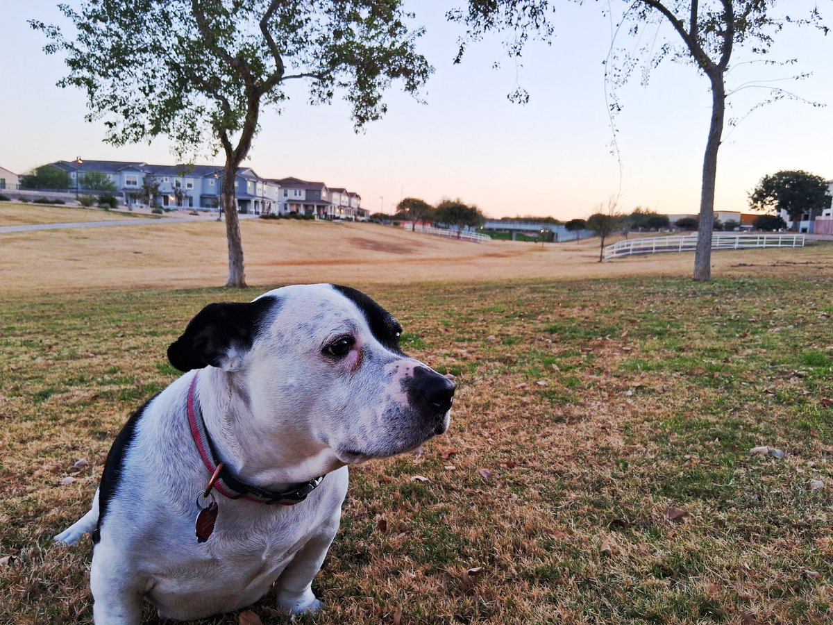 Wonder what she's thinking about...

Bet it ain't Epstein or interest rates.