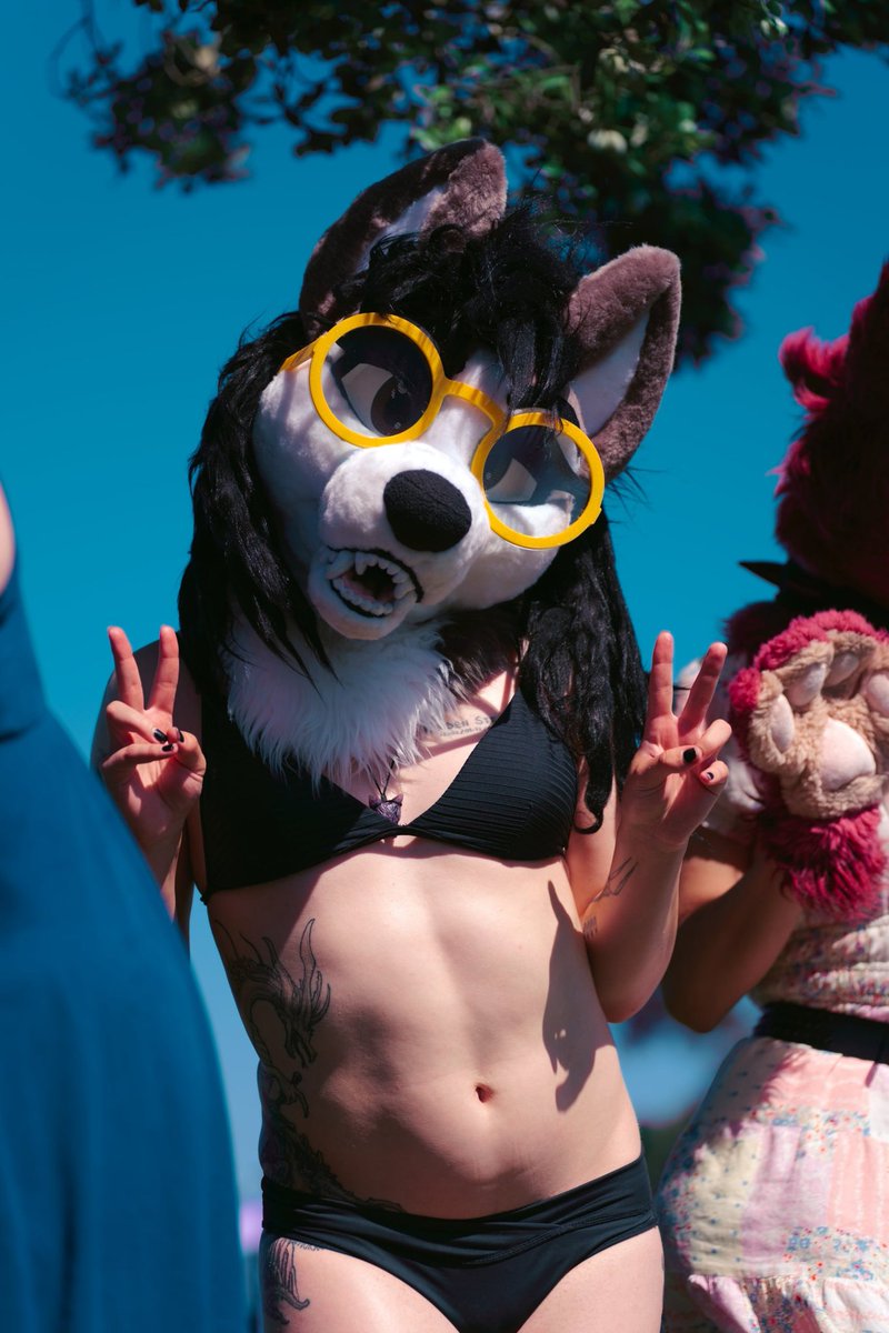 Rayner The Wolf tweet media