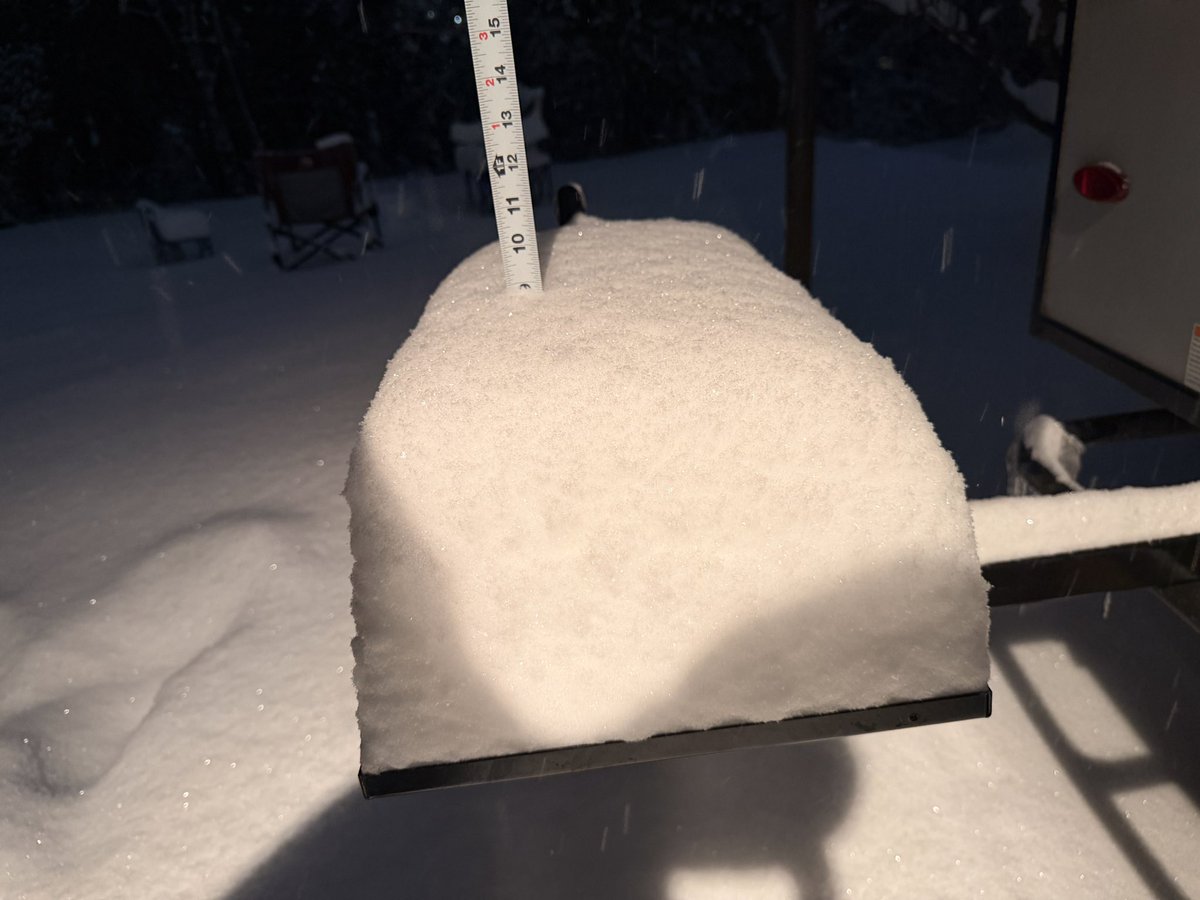 Dan Whittaker tweet media