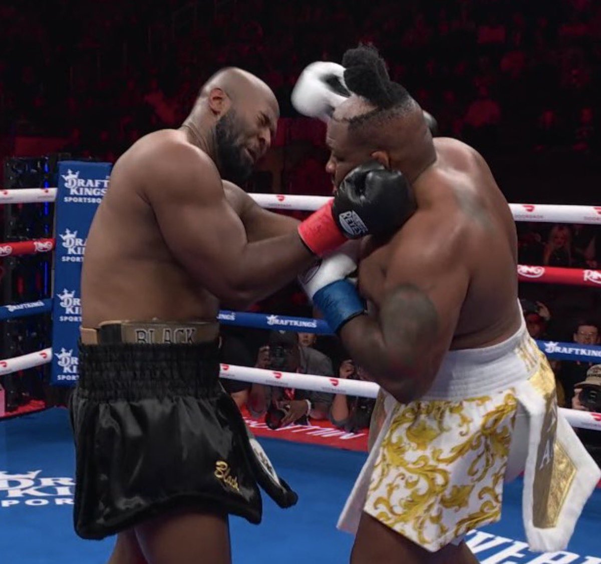 KNOCKOUT tweet media