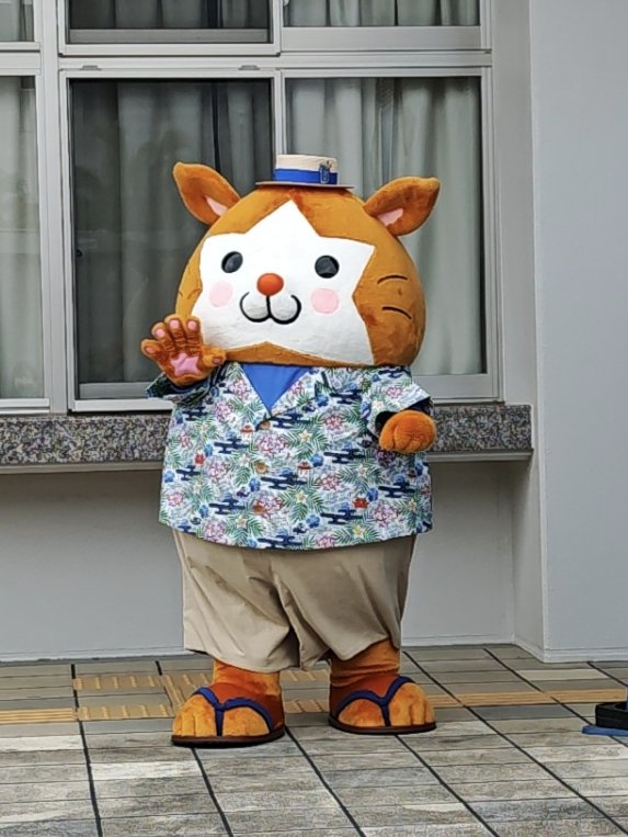 まめ太 (@_mameta__) / Posts / X