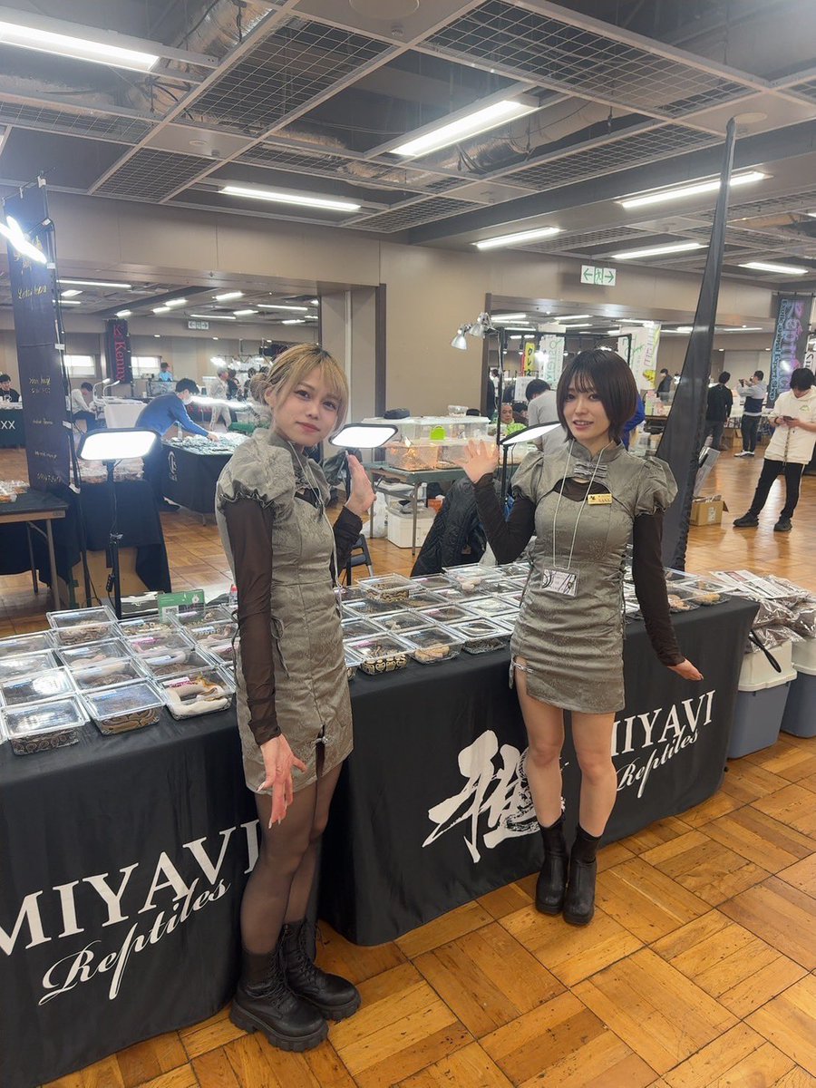 miyavi_reptiles's tweet image. WAF東京

設置完了いたしました。
本日よろしくお願いします✨️

#WAF
#雅レプタイルズ