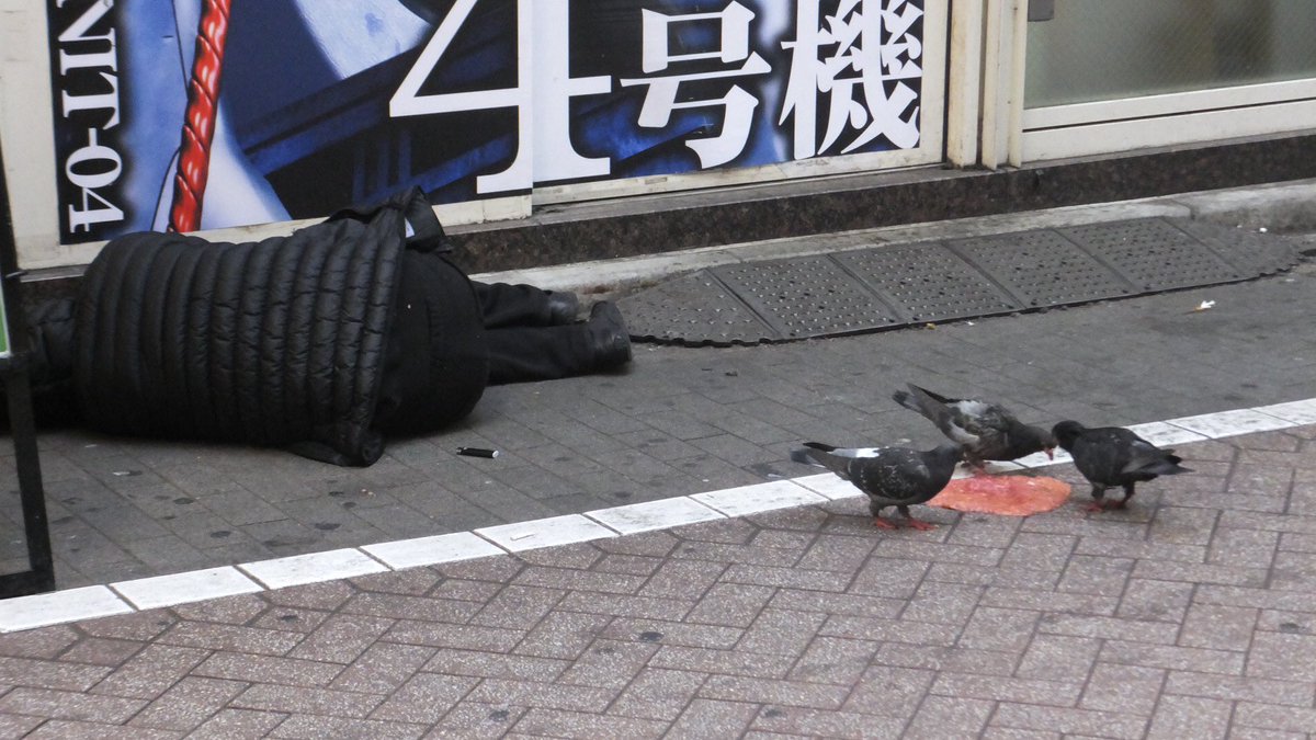 清浦⚠️ tweet media