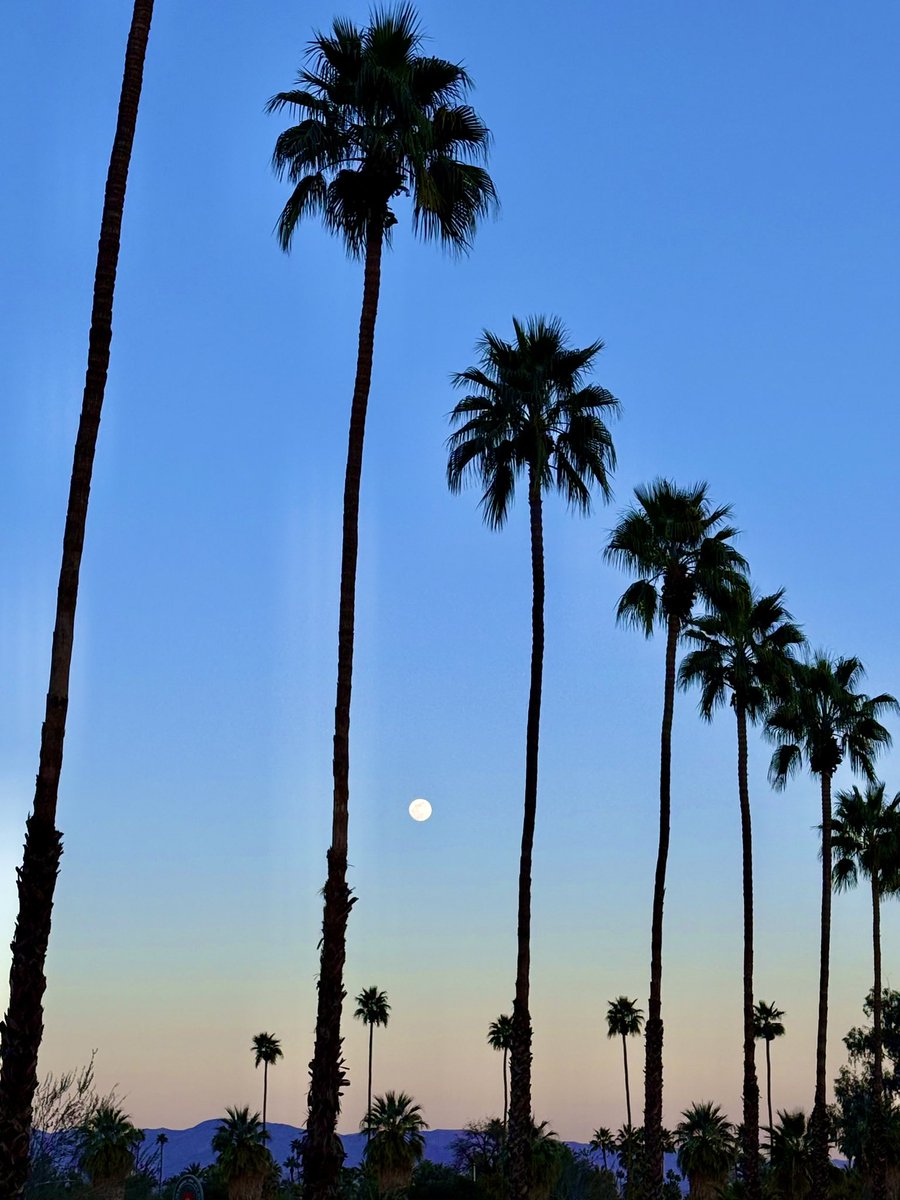 ericthomaschu's tweet image. Moon rises at sunset. 

#PalmSprings