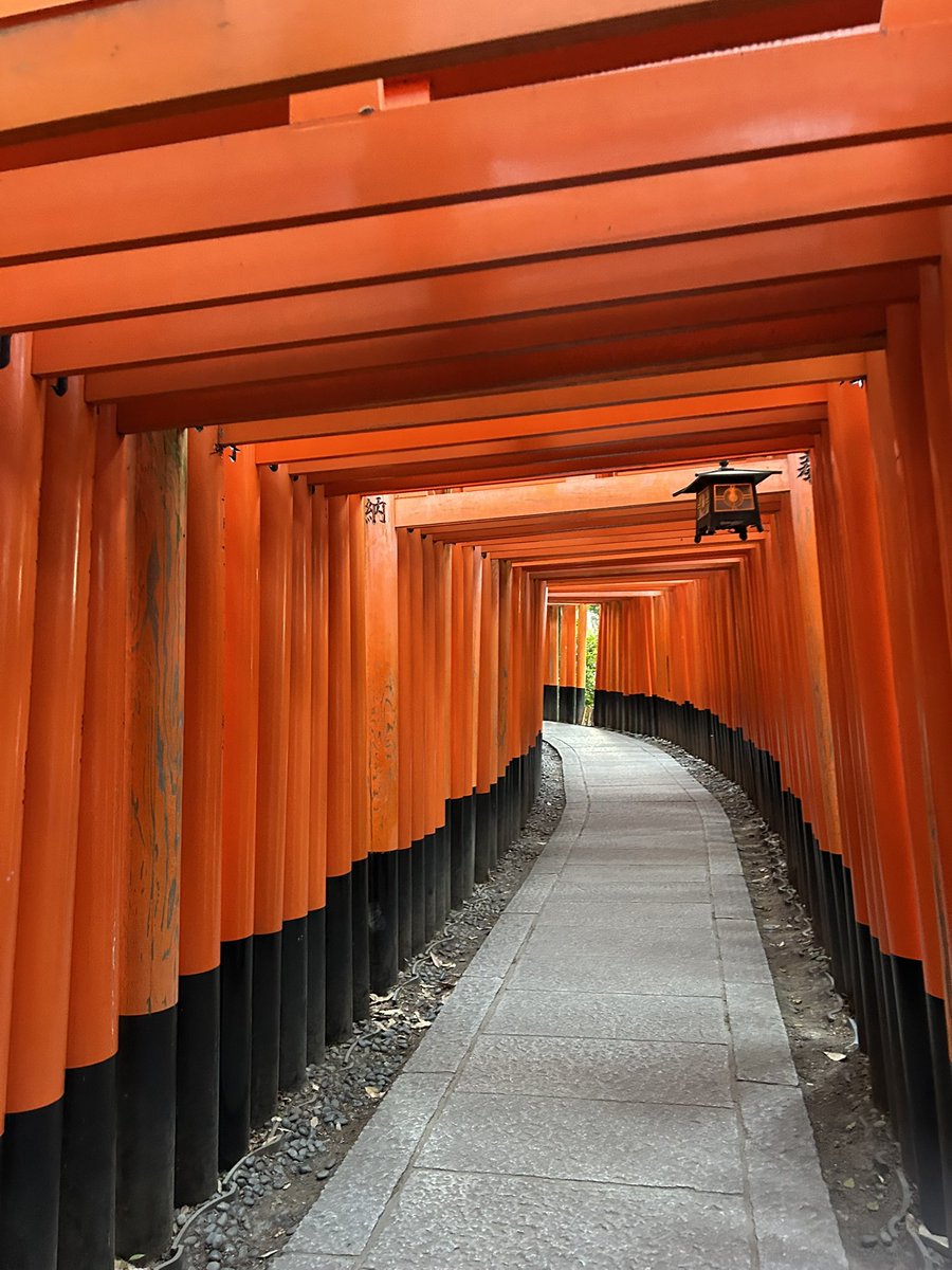 赤いユニの日に赤い鳥居ぎょーさんくぐらせてもろたからご利益あればいいな。