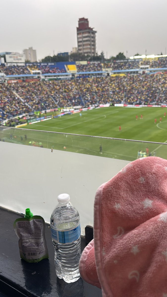 maryela✨ tweet media