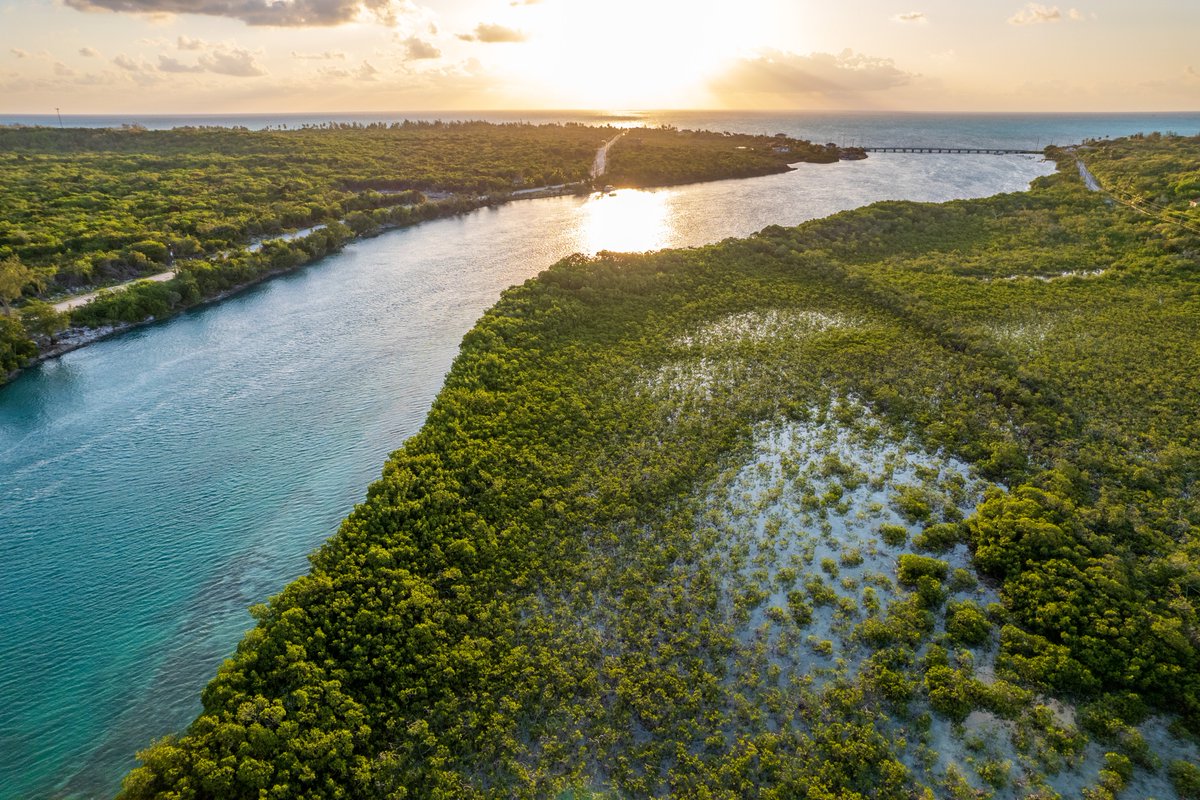 UNDP Planet tweet media