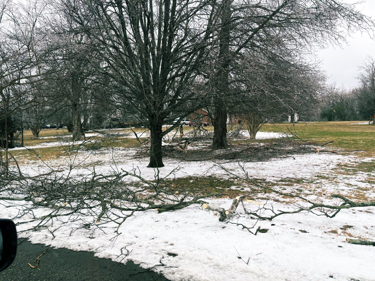 Braden Gall tweet media