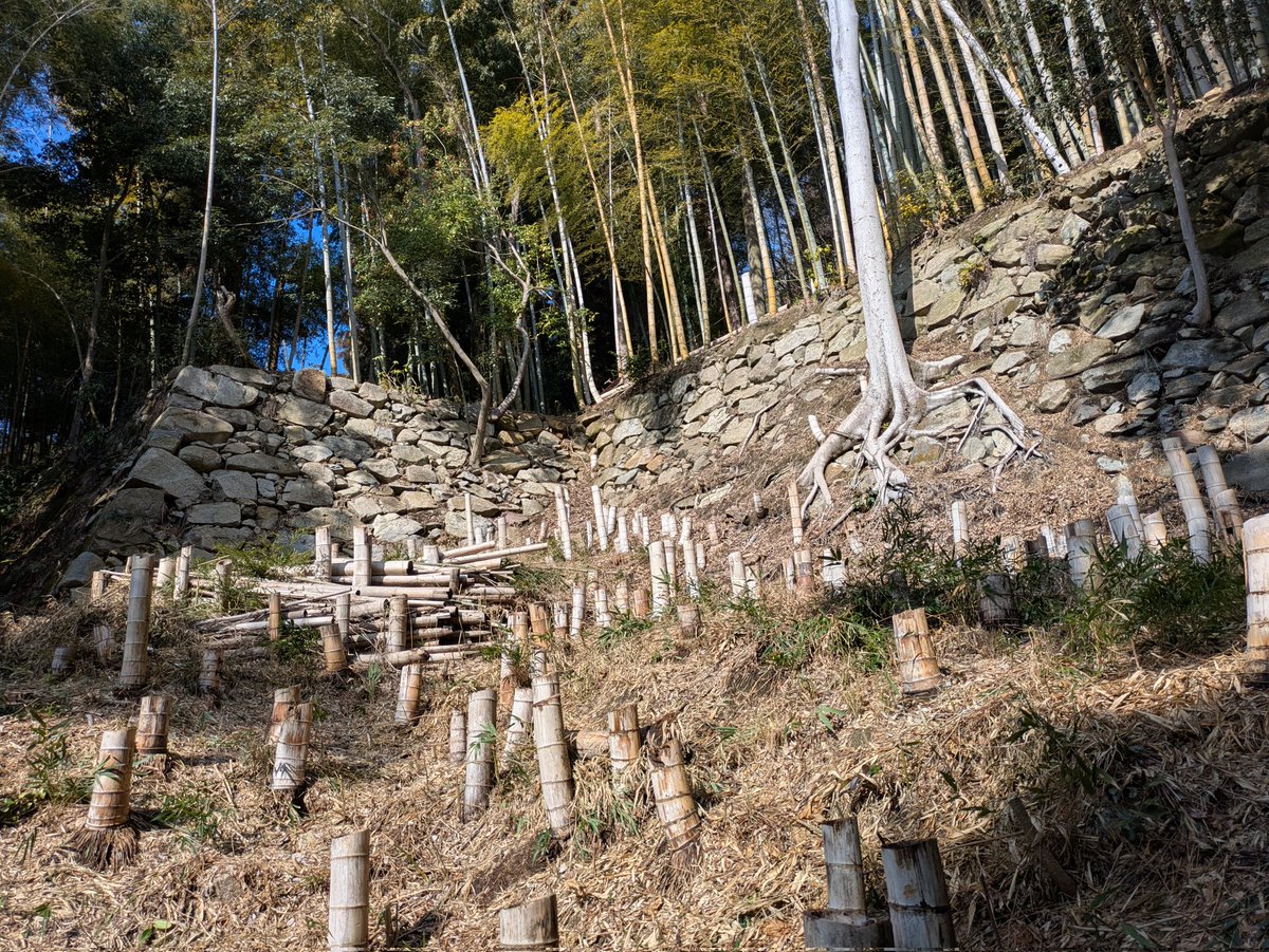八幡山城に続いて豊臣秀次居館跡へ。
こちらは１０数年ぶりだけど、かなり整備されてて石垣が格段に見やすくなっていました。
居館という名ですが立派な城ですね、ここ。
#豊臣秀次居館
