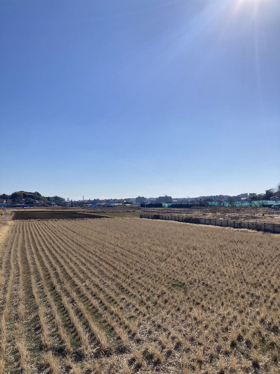 Uber旭区 tweet media