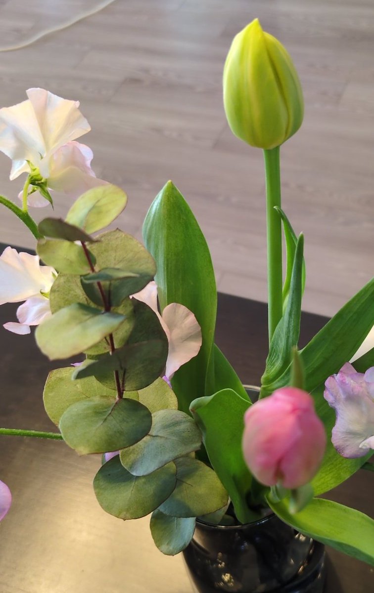 tyuntuuntyuntui's tweet photo. 寒さで引きこもり。
今の楽しみは蕾がいつ開くか🌷 https://t.co/wPtdFTqgLW