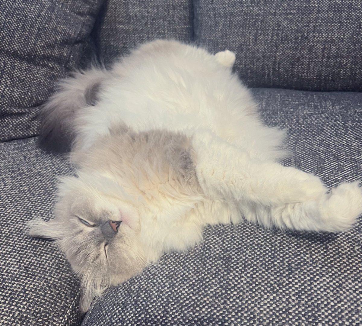 めありー🐰 (@memememememe28) / Posts / X