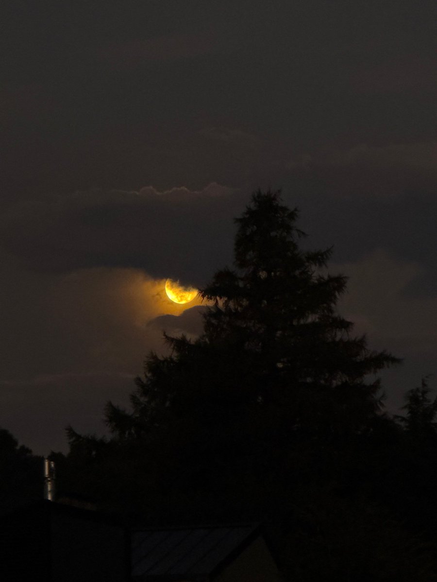 Luna Llena en Leo
