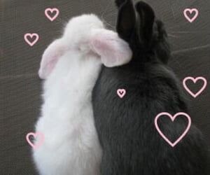 xcherry_y's tweet photo. Mi lenguaje del amor es obsesión #obslovetwt https://t.co/grxrHsv9u8