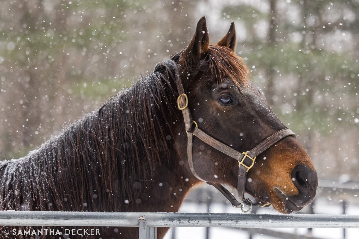 Samantha Decker (she/her) 📷 tweet media