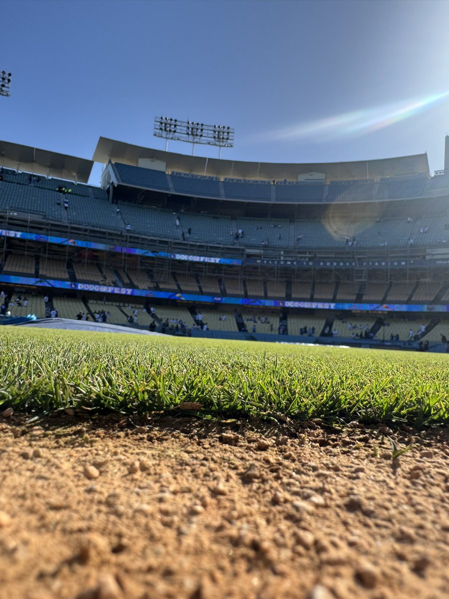 ひろりん⭐️翔平MLB⭐️🇺🇸 (@hirorinrin0414) / Posts / X