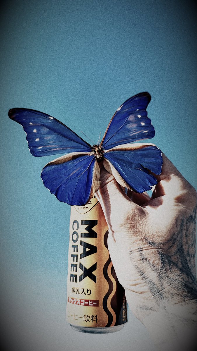 Közi (@kzi_official) on Twitter photo 