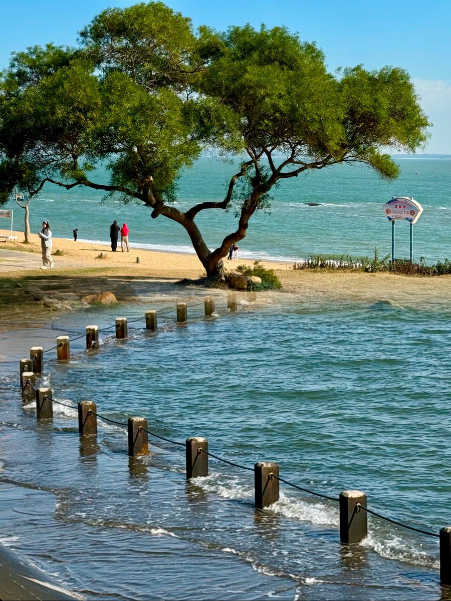 卤蛋（互fo）💯💯 tweet media