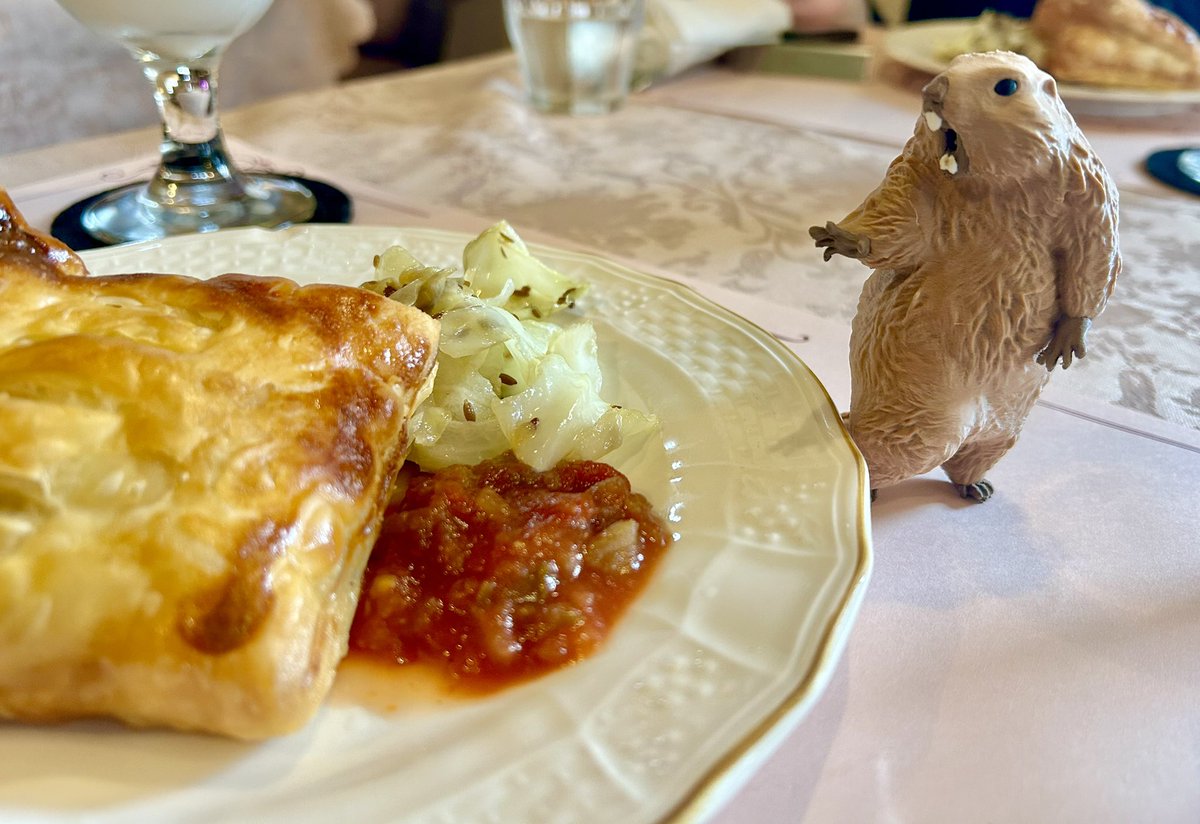 再販 びっくりマーモット 2000円